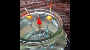 Xuyên Tâm - Kim ( Bộ trục và cân chì)