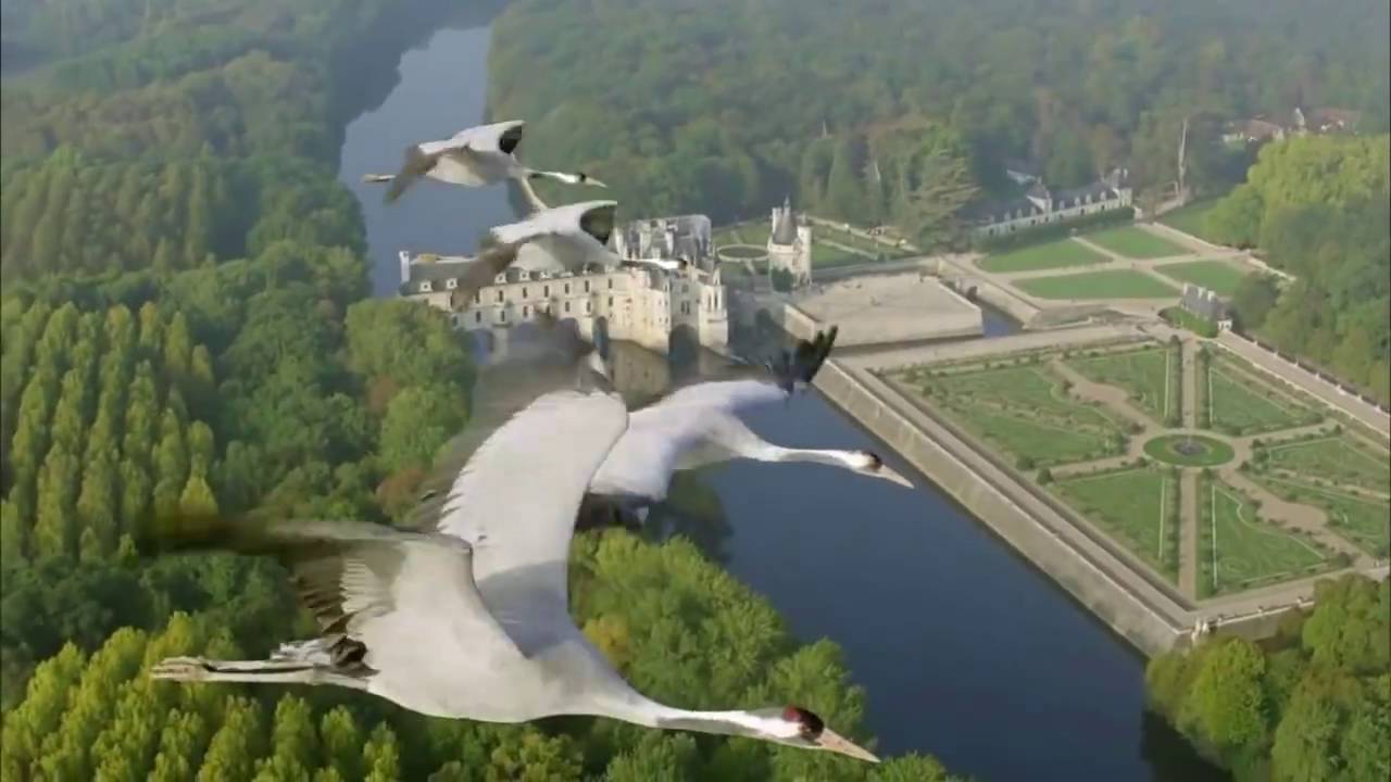 Freedom is priceless