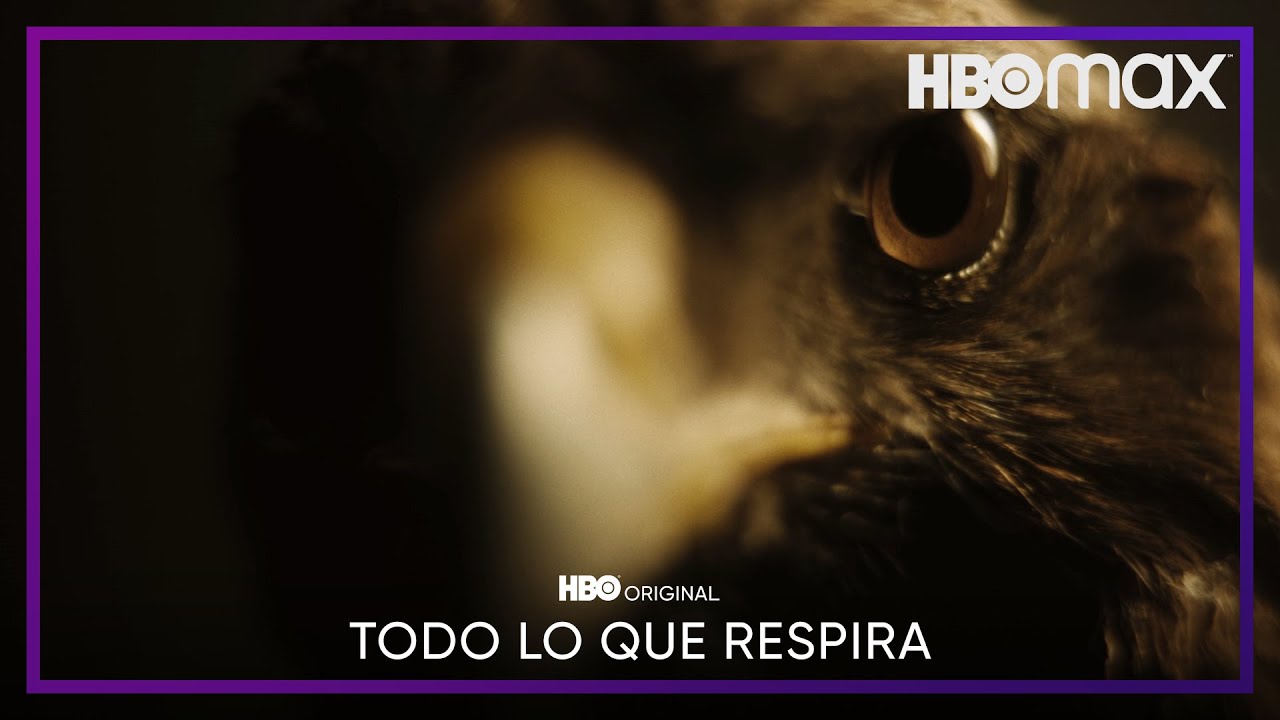 Todo lo que respira | Tráiler oficial | HBO Max