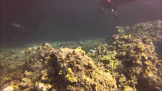 Makena Landing Dive