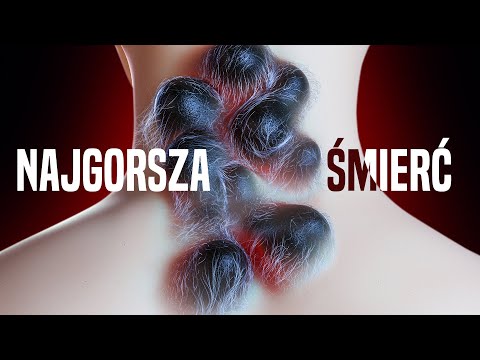 Wideo: Co by się stało, gdyby nie było reakcji chemicznych?