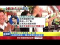 李四川攻意識形態　綠營：市長選舉應聚焦市政