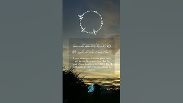 #الله #اجمل #تلاوات #تلاوة_خاشعة