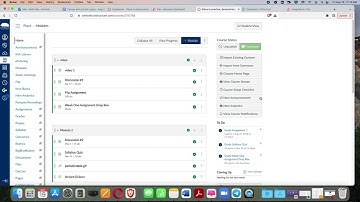 Using Canvas tools to track and improve student engagement