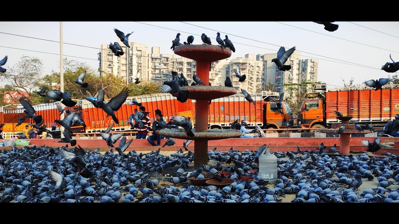 Redmi Note 7 Pro slow motion videos Test ||