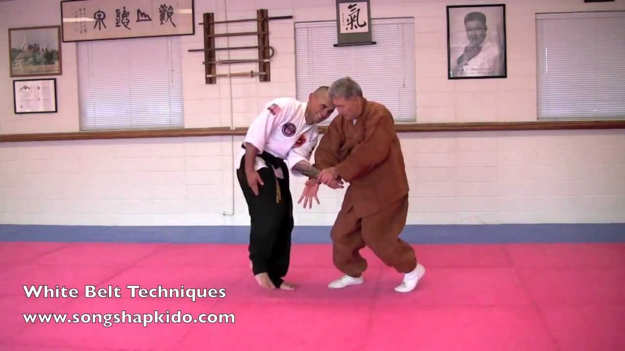 Hapkido White Belt Demo .mov