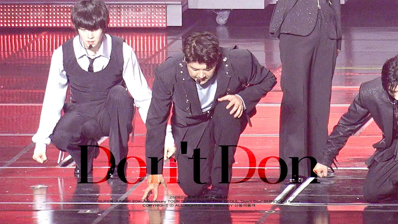 250822 SUPER JUNIOR SHINDONG : SUPER SHOW 10 in SEOUL 돈돈 신동ver