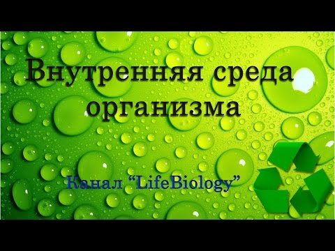 Внутренняя среда организма