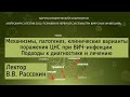 Механизмы, патогенез, клинические поражения ЦНС при ВИЧ-инфекции.Подходы к диагностике и лечению