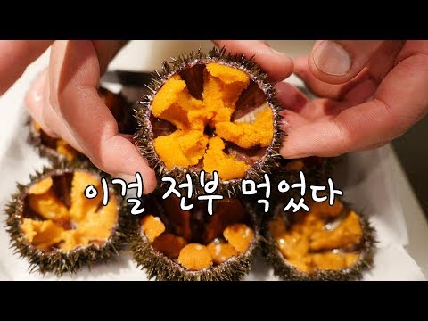 홋카이도 성게알은 이렇게 먹어야돼(먹방) This Is the Right Way to Eat Hokkaido Sea Urchin