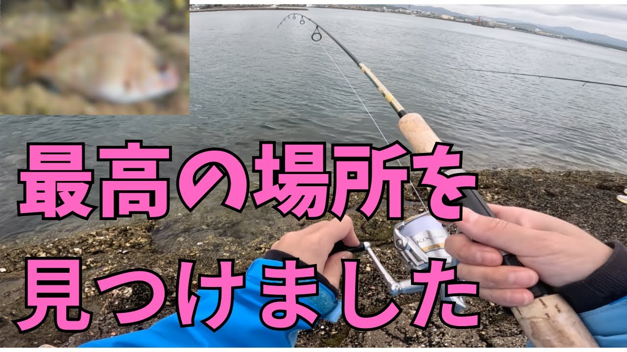 ハヤブサのかんたんウキ釣りセットが初心者におすすめで最高だった