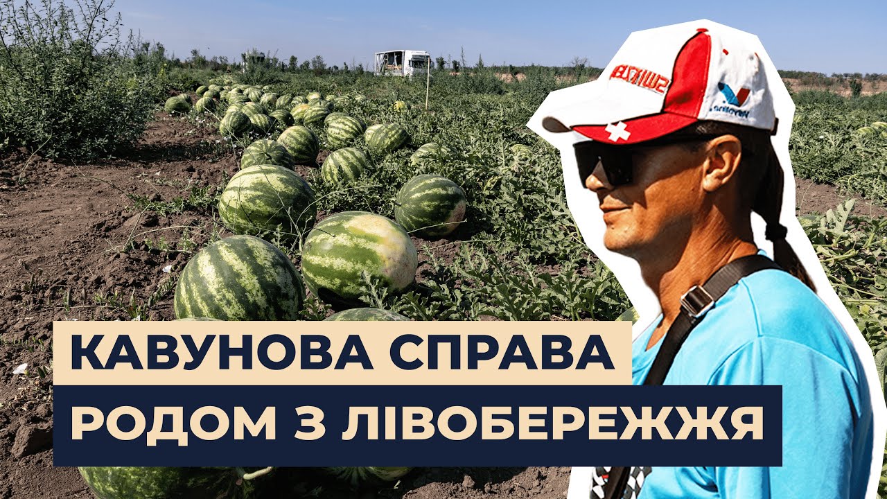 Кавуни, якими пишається Херсонщина. Як війна змінила родинну справу, але не зламала мрію