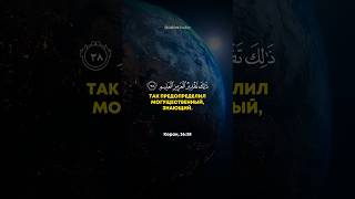 Сура 36. Йа Син (Йа Син) аяты 38-40🌌 Тарик Мухаммад #quran #surahyaseen #sun #moon #коран #shorts