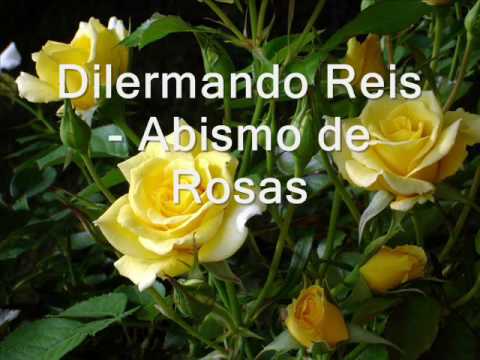 Abismo de Rosas - YouTube