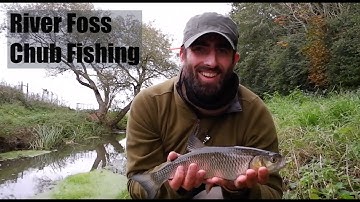 River Foss Chub Fishing