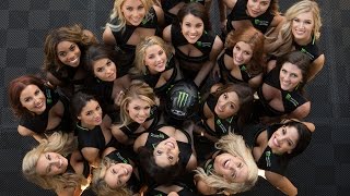 Monster Energy Girls - NASCAR Edition