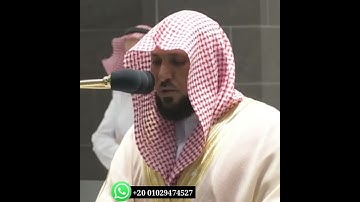 حالات واتساب قرآن بصوت الشيخ ماهر المعيقلي _ سورة ال عمران