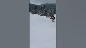 Snowmobile fail #shorts #skidoo #polaris #snowmobile #fail #braap #sled #backcountry #braap