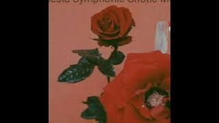 Beauty Of Night - Sesal Abadi (Indonesia Gothic Metal)