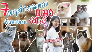 หมอแมวน่ารัก EP.1 | 7 พฤติกรรมของแมว ที่หลายคนยังไม่รู้