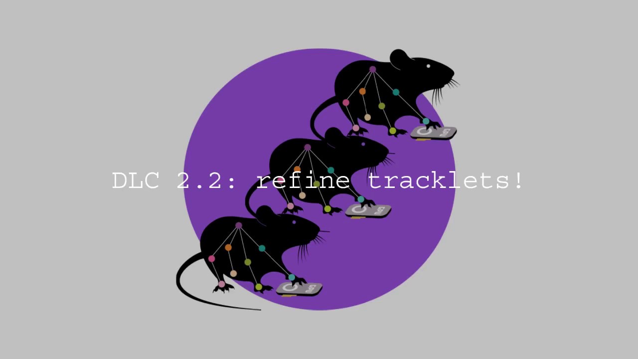 DeepLabCut 2.2: how to use the refine tracklets GUI! - YouTube