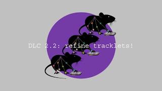 DeepLabCut 2.2: how to use the refine tracklets GUI!