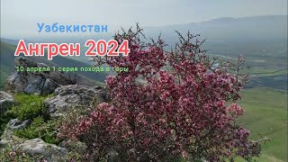 Узбекистан Ангренские горные красоты 1 серия 10 апреля 2024 г.