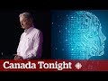 AI could be smarter than people in 20 years, says &#39;godfather of AI&#39; | Spotlight