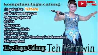 KOMPILASI LAGU CALUNG MP3 - TEH WINWIN (LIVE)