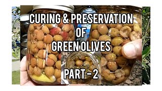 Best Method Of Green Olives Curing & Preservation. Part -2.(Weak Brine Prep, Jarring &Tasting)