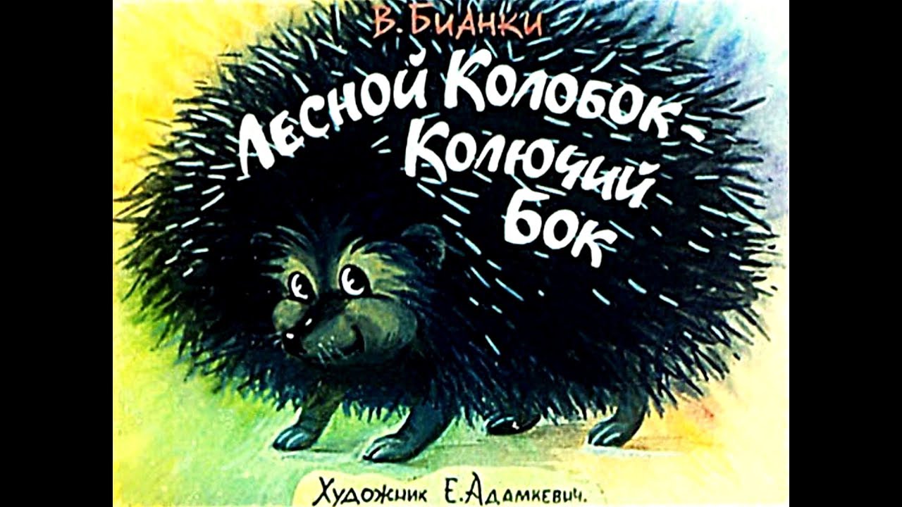 лесной колобок колючий бок бианки. колобок колючий бок в бианки. бианки лесной колобок. бианки лесной колобок. бианки лесной колобок колючий бок книга.