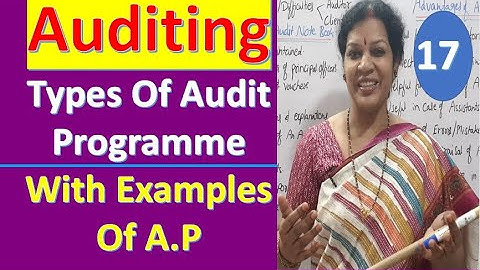 17. "Types of Audit Programme With Examples Of Audit Programme" from Auditing Subject