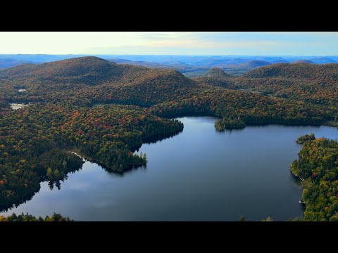 DJI Mavic Air 2 Cinematic 4K Video