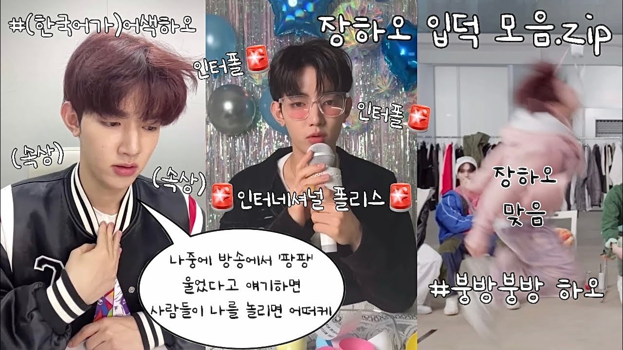 장하오 입덕 모음.zip 🫳🏻❤️ • (한국어가)어색하오 • (어딘가)이상하오 • 붕방붕방하오 • 나쁜말하오 • 로진단 • 장하오 모음집 • 🚨인터폴🚨 •