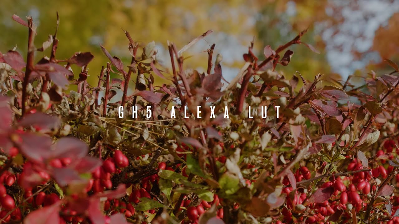 GHAlex LUT Get ARRI ALEXA Colors From Your Panasonic GH5 YouTube