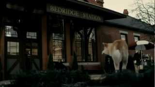 Hachiko, il tuo migliore amico - trailer ita HD