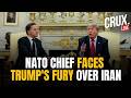 LIVE | Rutte Woos Trump as He Blasts NATO Over Iran War, Slams Allies for ‘letting US Down’ | Meloni