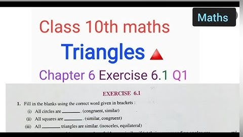 class 10th maths | triangles chapter 6 | Ex 6.1 Q1 | fill in the blanks