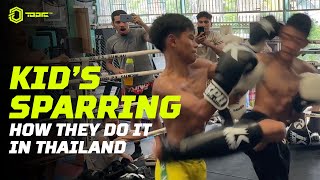 Are You Against or for Kid's Sparring Like This?