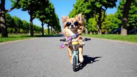 assets task 01jft5qp16fqh9963qe50vqm40 task 01jft5qp16fqh9963qe50vqm40 genid 566ed343 2954 4c67 b6ad