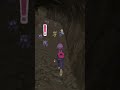 the wall spawns shinies 🌟