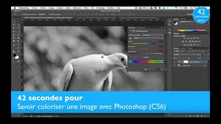 42s pour : Coloriser une photo noir et blanc avec Photoshop CS6