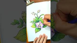 Orchid coloring #artinstruction #adultcoloring #arttherapy