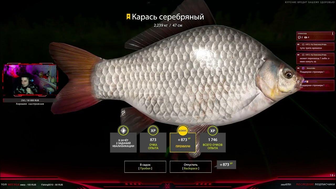 Тихая река