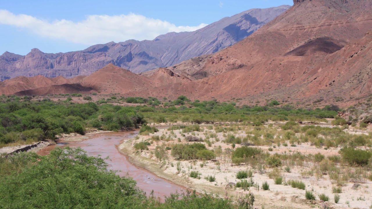 سيرة مضيئة لصحابي جليل وصفه النبي صلى الله عليه وسلم بالطيب المطيب ، فمن هو ؟