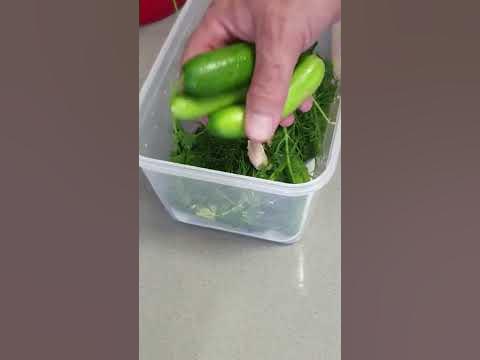 Рецепт очень вкусных малосольных, хрустящих огурцов! #shorts - YouTube