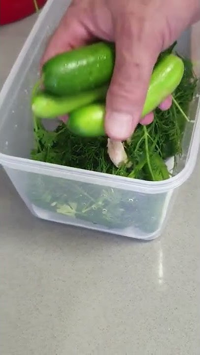 Рецепт очень вкусных малосольных, хрустящих огурцов! #shorts - YouTube