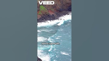 Veed.io | Script to Shorts video using stock footage