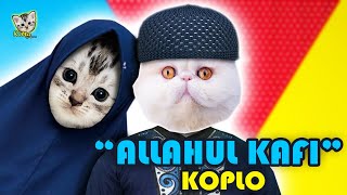 KUCING LUCU SHOLAWAT ALLAHUL KAFI KOPLO || Kitty Kucing Lucu