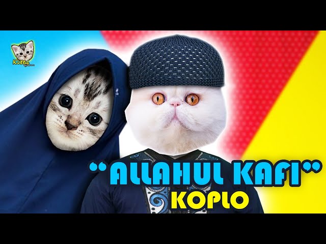 KUCING LUCU SHOLAWAT ALLAHUL KAFI KOPLO || Kitty Kucing Lucu class=